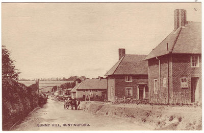 050 - Sunny Hill
