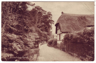 066 - Pigs Nose
