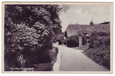 067 - Pigs Nose
