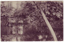 035-front-small.jpg
