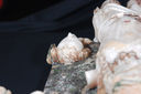 D2X_2854.jpg