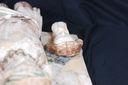 D2X_2859.jpg